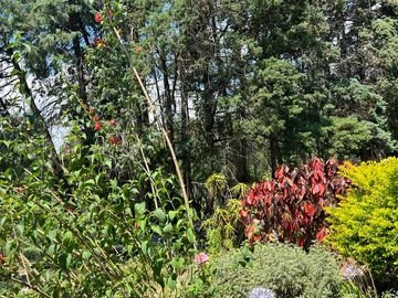 Farm & Agricultural Land