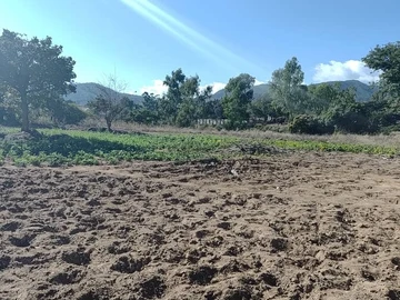 Farm & Agricultural Land