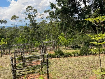 Farm & Agricultural Land