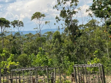 Farm & Agricultural Land