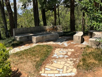 Farm & Agricultural Land