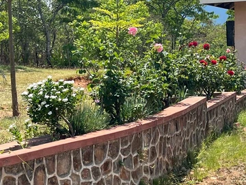 Farm & Agricultural Land